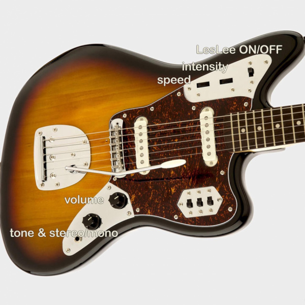 Pickup LesLee Jaguar